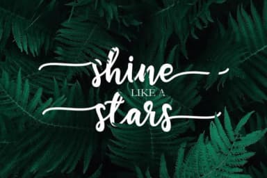 Flashlight Script Font by Bexx Type — Script Handwritten Font — thumbnail 4