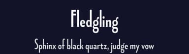 Fledgling by Typodermic Fonts — Sans Serif Font — thumbnail 2