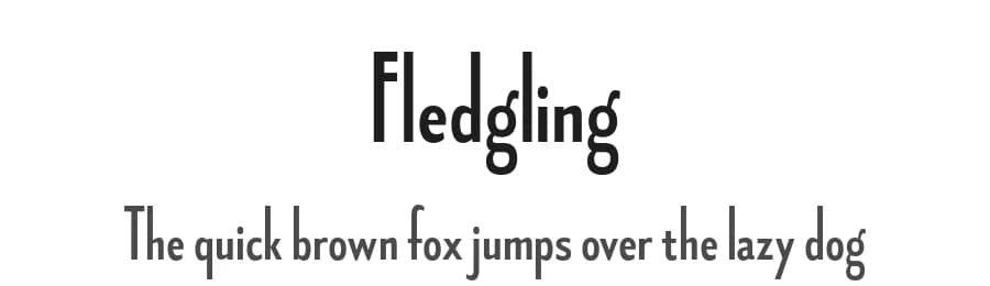 Fledgling by Typodermic Fonts — Sans Serif Font