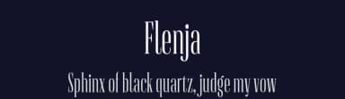Flenja by Sascha Timplan — Serif Font — thumbnail 2