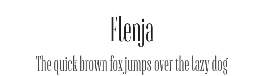 Flenja by Sascha Timplan — Serif Font