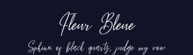 Fleur Bleue by DM Letter Studio - Dimas Prasetyo — Script Handwritten Font — thumbnail 2