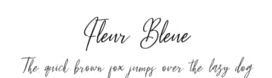 Fleur Bleue by DM Letter Studio - Dimas Prasetyo — Script Handwritten Font — thumbnail 1