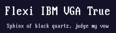 Flexi IBM VGA True by VileR — Sans Serif Font — thumbnail 2