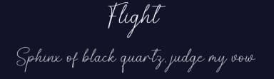 Flight by Scratchones — Script Handwritten Font — thumbnail 2