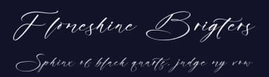 Flomeshine Brigters by Letterena Studios — Script Handwritten Font — thumbnail 2