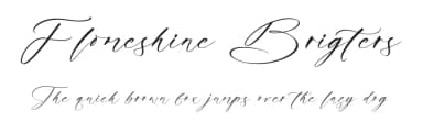 Flomeshine Brigters by Letterena Studios — Script Handwritten Font — thumbnail 1