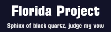 Florida Project by Justin Callaghan — Sans Serif Font — thumbnail 2