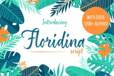 Floridina Font by petertype — Script Handwritten Font — thumbnail 1