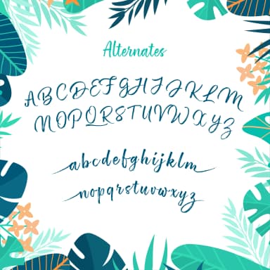 Floridina Font by petertype — Script Handwritten Font — thumbnail 3