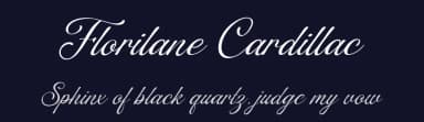 Florilane Cardillac by Octotype  | Thomas Boucherie — Script Handwritten Font — thumbnail 2