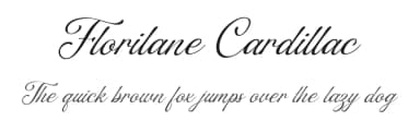 Florilane Cardillac by Octotype  | Thomas Boucherie — Script Handwritten Font — thumbnail 1
