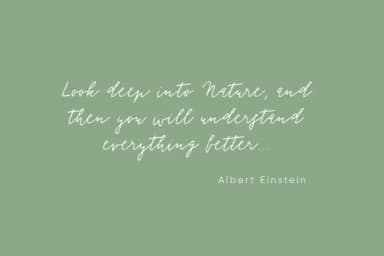 Florisa Font by Tabita's shop — Script Handwritten Font — thumbnail 3