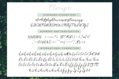Florisa Font by Tabita's shop — Script Handwritten Font — thumbnail 8