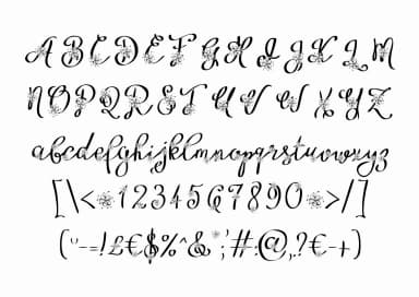 Floryfic Font by Digital Typeface Studio — Script Handwritten Font — thumbnail 3