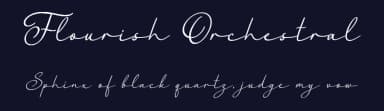Flourish Orchestral by Octotype  | Thomas Boucherie — Script Handwritten Font — thumbnail 2