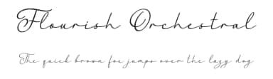 Flourish Orchestral by Octotype  | Thomas Boucherie — Script Handwritten Font — thumbnail 1
