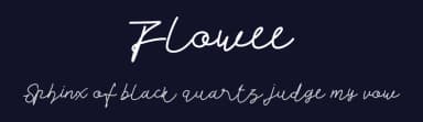 Flowee by Typnco Studio — Script Handwritten Font — thumbnail 2
