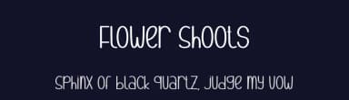 Flower Shoots by Andi Moz — Script Handwritten Font — thumbnail 2