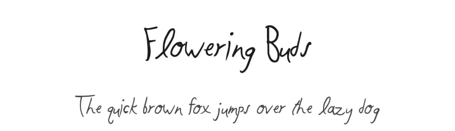 Flowering Buds by Xerographer Fonts — Script Handwritten Font