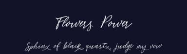 Flowers Power by Scilla Corbelli — Script Handwritten Font — thumbnail 2
