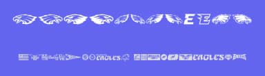 Fly Eagles Fly by Iconian Fonts — Dingbats Font — thumbnail 3