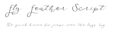 Fly Feather Script by Edric Studio — Script Handwritten Font — thumbnail 1