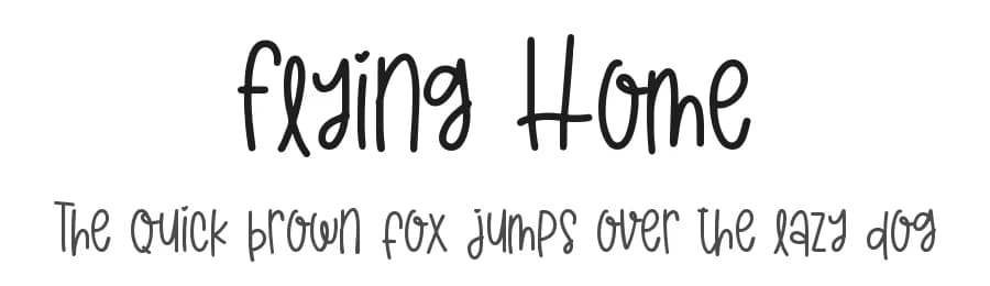 Flying Home by DM Letter Studio - Dimas Prasetyo — Script Handwritten Font