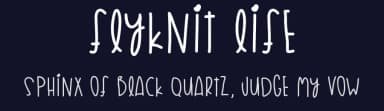 Flyknit Life by Des Gomez — Script Handwritten Font — thumbnail 2