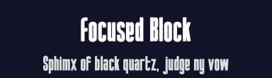Focused Block by PutraCetol Studio — Sans Serif Font — thumbnail 2