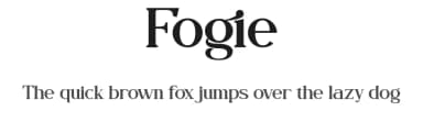 Fogie by Din Studio — Serif Font — thumbnail 1