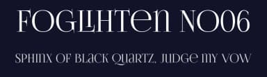 Foglihten No06 by gluk — Serif Font — thumbnail 2