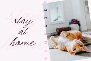 Fomell Font by Katie Holland — Script Handwritten Font — thumbnail 8