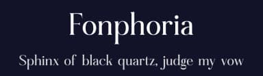 Fonphoria by Storytype Studio — Serif Font — thumbnail 2