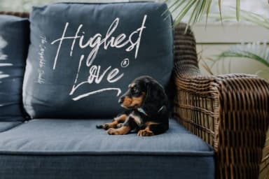 Font Blade Font by Haksen — Script Handwritten Font — thumbnail 5