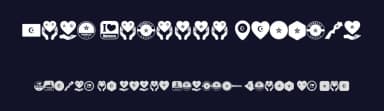 Font Morocco Algeria by elharrak — Dingbats Font — thumbnail 2