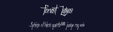 Forest Lakes by Xerographer Fonts — Script Handwritten Font — thumbnail 2