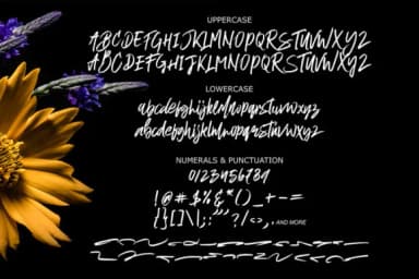 Formabbis Font by Picatype Studio — Script Handwritten Font — thumbnail 7