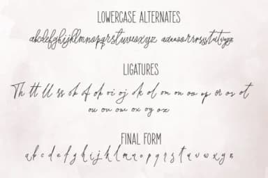 Forsythia Garden Font by Royaltype — Script Handwritten Font — thumbnail 7