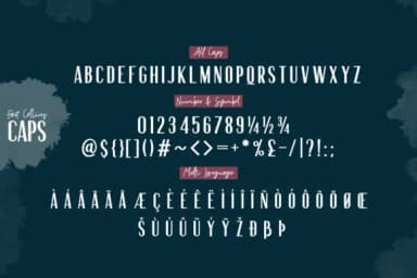 Fort Collins Font by letterhend — Script Handwritten Font — thumbnail 9