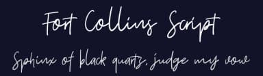 Fort Collins Script by Letterhend Studio — Script Handwritten Font — thumbnail 2