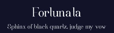 Fortunata by Bálint Erdősi — Serif Font — thumbnail 2