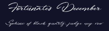 Fortunates December by Octotype  | Thomas Boucherie — Script Handwritten Font — thumbnail 2