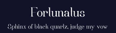 Fortunatus by Bálint Erdősi — Serif Font — thumbnail 2