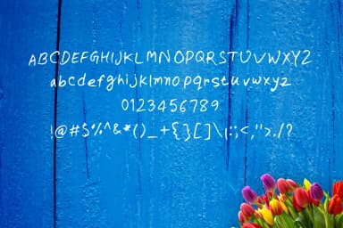 Fraxinus Font by Contour Fonts — Script Handwritten Font — thumbnail 3