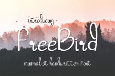 Freebird Font by wny79 — Script Handwritten Font — thumbnail 1