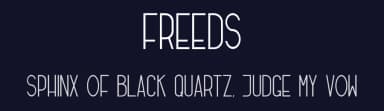 Freeds by Monoco Type Foundry — Sans Serif Font — thumbnail 2