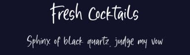 Fresh Cocktails by Sronstudio — Script Handwritten Font — thumbnail 2