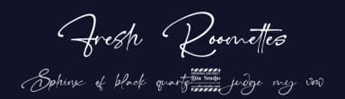 Fresh Roomettes by Din Studio — Script Handwritten Font — thumbnail 2