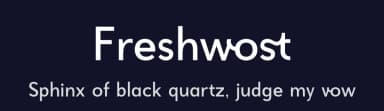 Freshwost by Storytype Studio — Sans Serif Font — thumbnail 2